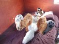 1265921566.kiowolf_dsc_3254.jpg